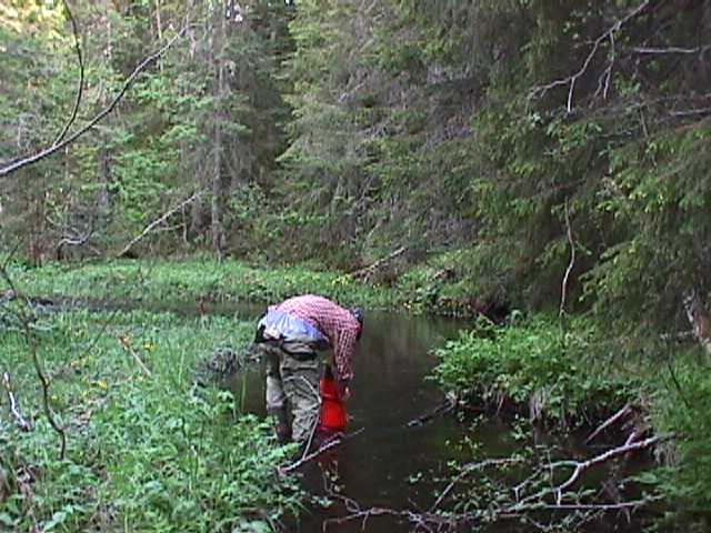 Monitoring of fresh water mussels